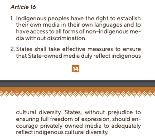 The UN Declaration on the Rights of Indigenous Peoples, Article 16